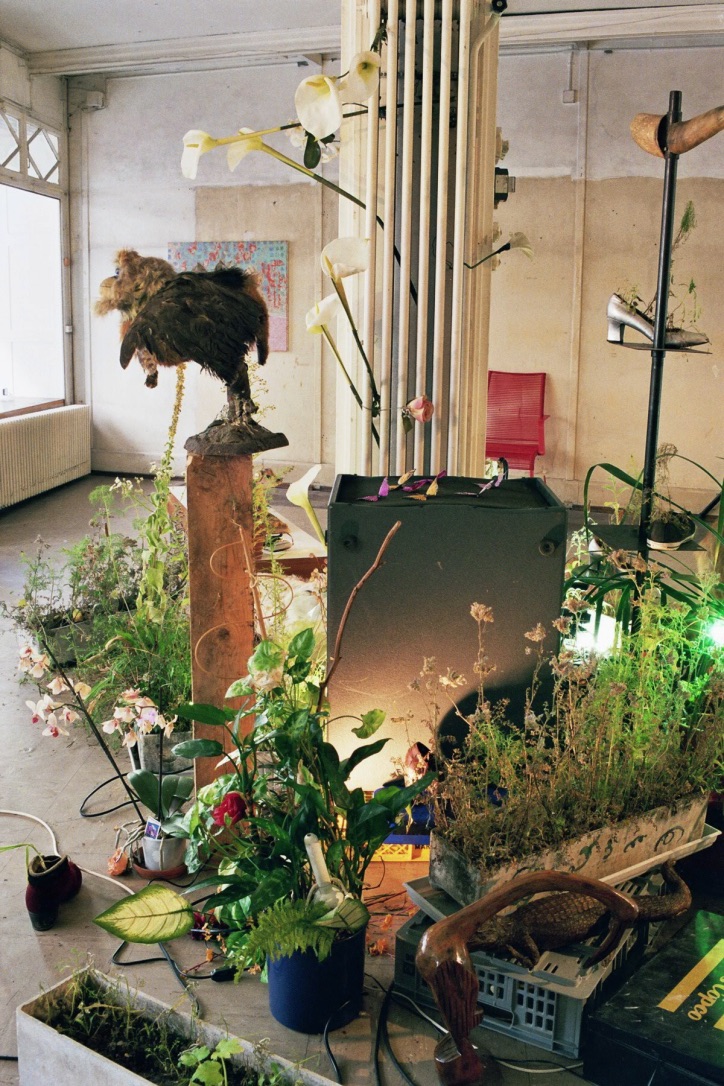 Stini Arn und Ehfa Hiltbrunner "Jungle fever", message salon, Parterre Perla-Mode, Zürich