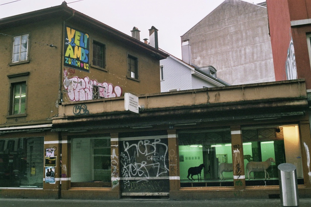 Veli & Amos, Live in Galleries, Perla-Mode, Langstrasse, Zurich
