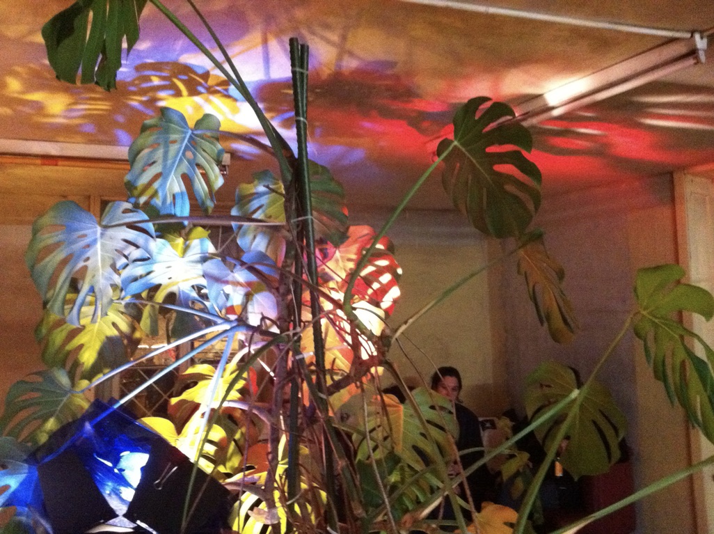 Paola Caputo and Linda Suter, 'Bastard & Blendling', message salon, Zurich