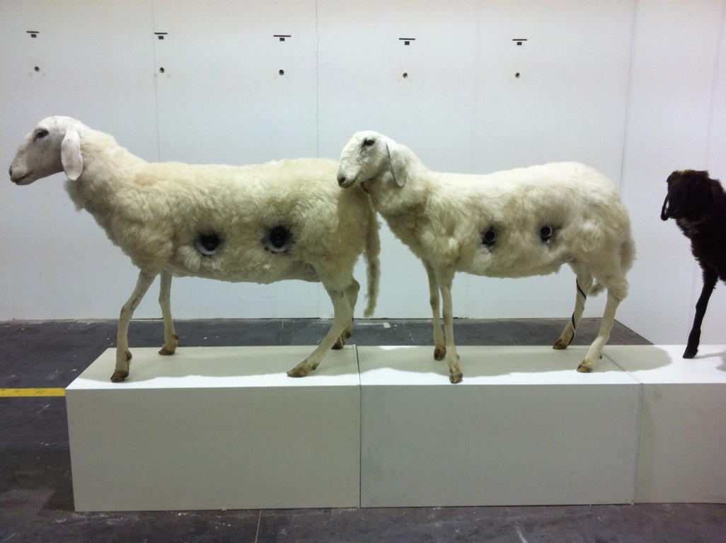 Veli & Amos, Live on Artfair, "Jewbox and Sheeps (Keenwood, Pioneer, Alpine)", "Youtube", Kunst11, Zurich  