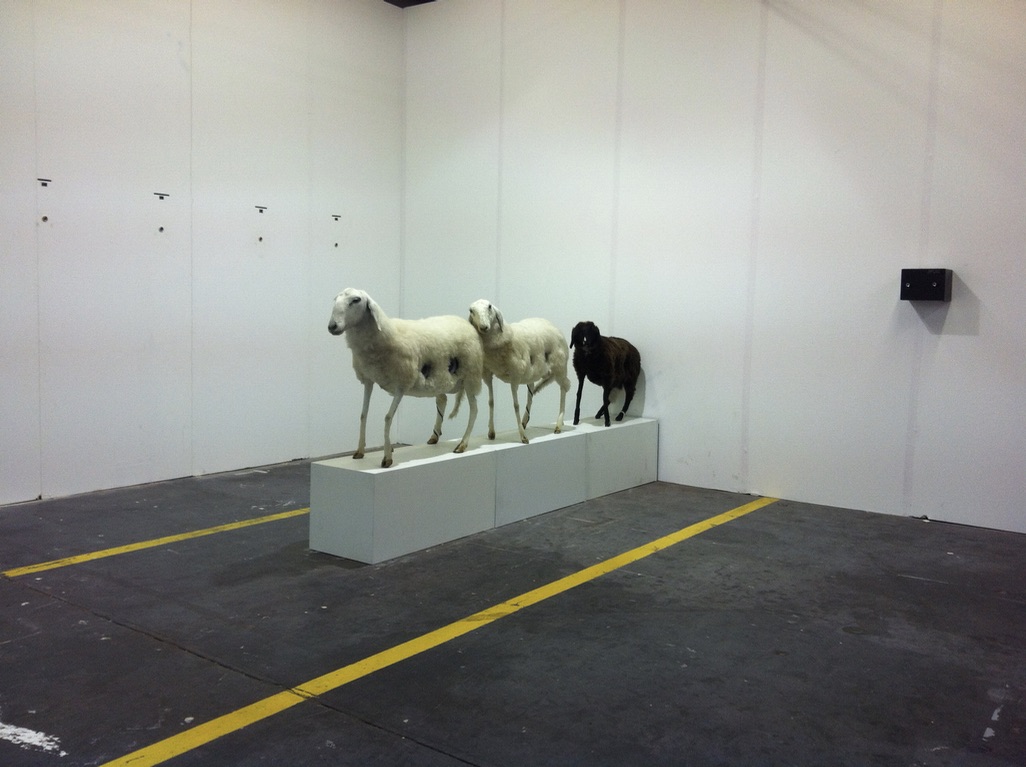 Veli & Amos, Live on Artfair, "Jewbox and Sheeps (Keenwood, Pioneer, Alpine)", "Youtube", Kunst11, Zürich