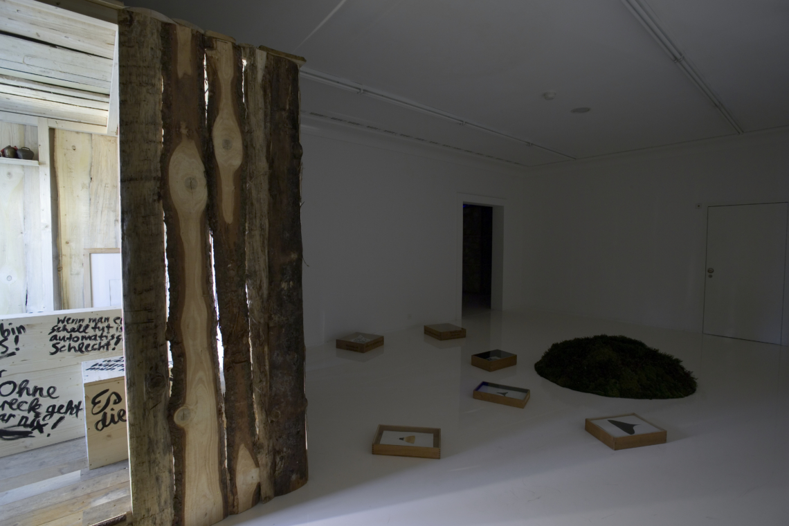 Alexis Saile "Esther Eppstein lädt ein, Davix, Franziska Koch, Saskja Rosset und Alexis Saile", Helmhaus Zürich. Foto Mancia/Bodmer© FBM studio, 2005