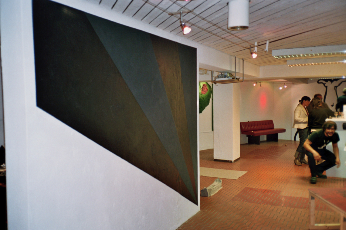 Diego Fernández, Felipe Mujica and Johanna Unzueta "Dispersed Pieces of Something", message salon Rigiplatz, Zurich