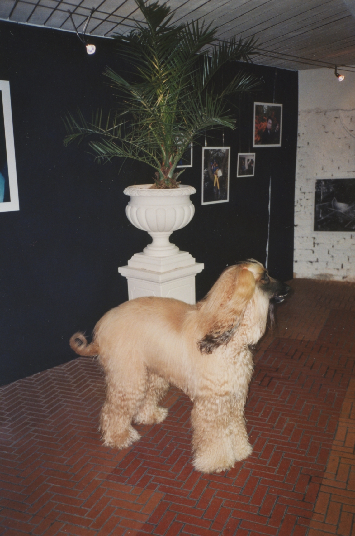 Karla Rockmaster K "I prefer music", message salon Rigiplatz, Zürich