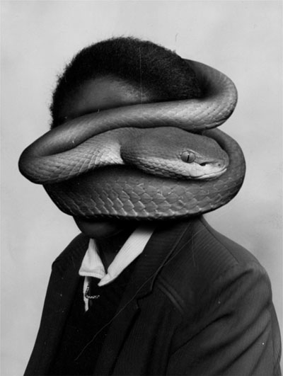 Snake, 2005