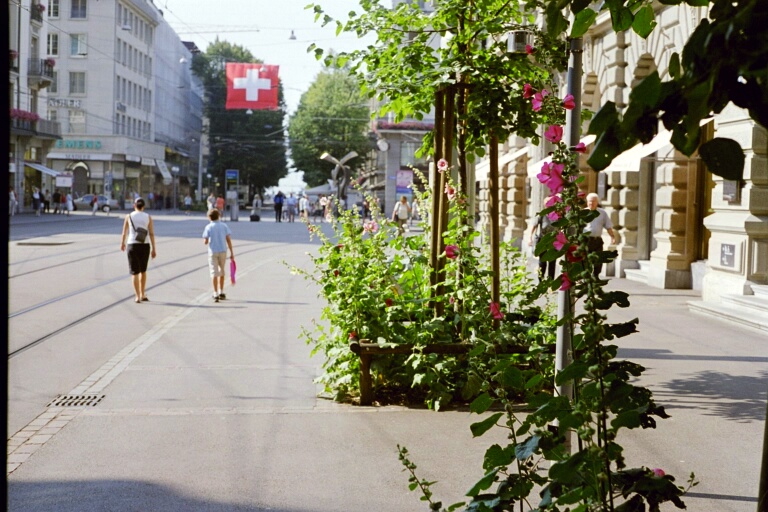 Malven an der Bahnhofstrasse Zürich, Foto Maurice Maggi, 2004