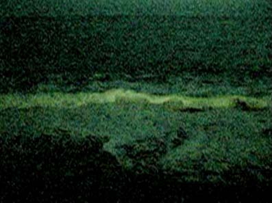 unkraut., Videostill, 2007